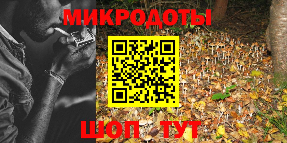 Псилоцибиновые грибы Psilocybe  Верхняя Пышма 