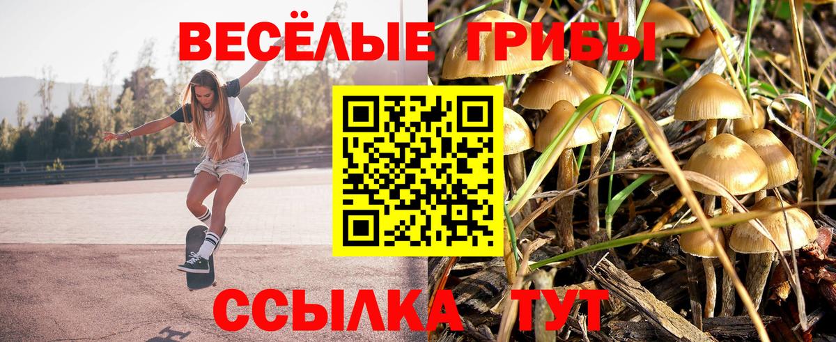 Галлюциногенные грибы мицелий  Вход с VPN  Верхняя Пышма  Галлюциногенные грибы Cubensis 